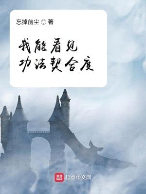 我能看见功法契合度